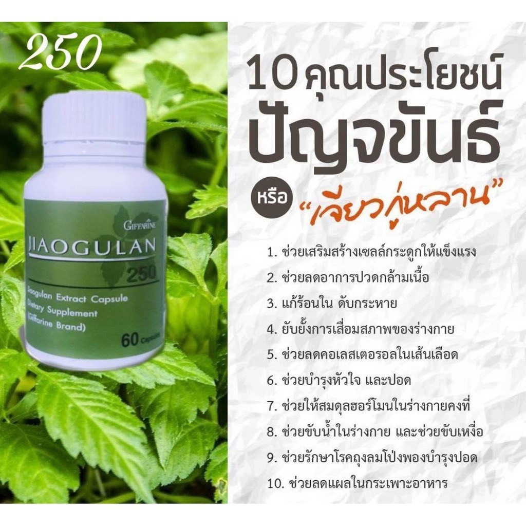 ส่งฟรี-เจียวกู่หลาน-กิฟฟารีน-jiaogulan-giffarine-ลดไขมัน-ลดความดันโลหิต-หัวใจ