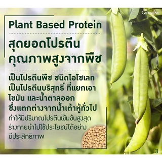 ภาพขนาดย่อของภาพหน้าปกสินค้าโปรตีนพืช กิฟฟารีน Vegan Multi Plant Protein วีแกน มัลติ แพลนท์ โปรตีน โปรตีนสกัดจากถั่วเหลือง ถั่วลันเตาสีทอง วีแกน จากร้าน victory.giffshop บน Shopee ภาพที่ 4