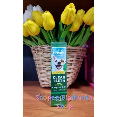 ภาพหน้าปกสินค้าTropiclean Fresh Breath Clean Teeeth Gel ขนาด 59 ml. ผลิตภัณฑ์เพื่อการดูแลสุขภาพช่องปาก และฟันสำหรับสุนัข จากร้าน bigthanks. บน Shopee