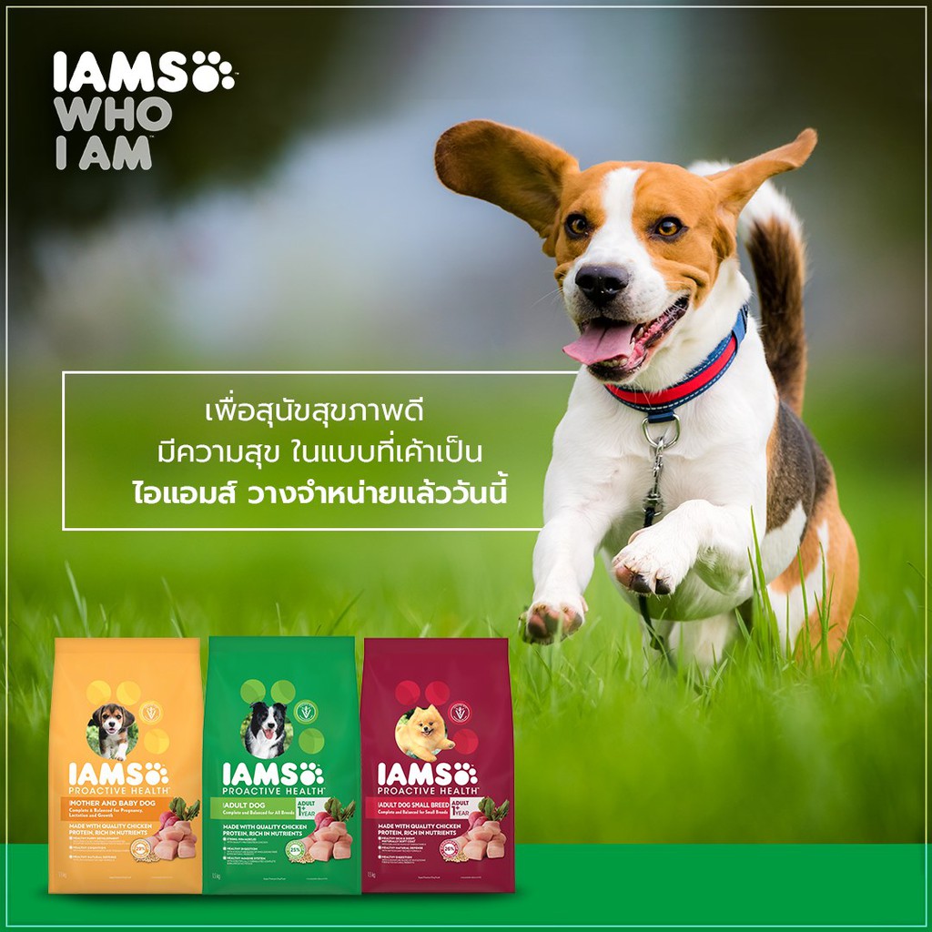 iams-dog-food-ไอแอมส์-โปรแอคทีฟ-เฮลท์-1-5-kg