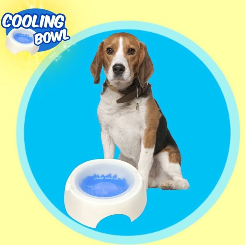 สินค้ามาใหม่วันนี้-cooling-bowl-ชามเจลโซลูชั่นสัตว์เลี้ยง