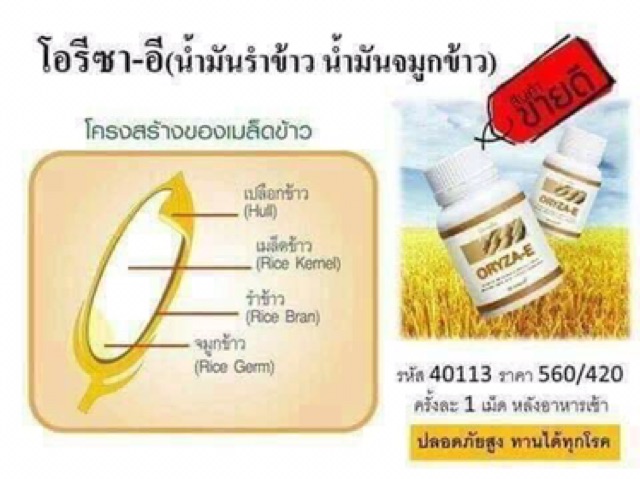 ส่งฟรี-โอรีชา-อี-กิฟฟารีน-น้ำมันจมูกข้าว-น้ำมันรำข้าว-giffarine-oryza-e-บำรุงสมอง-ลดไขมันในเลือด-บำรุงผิว