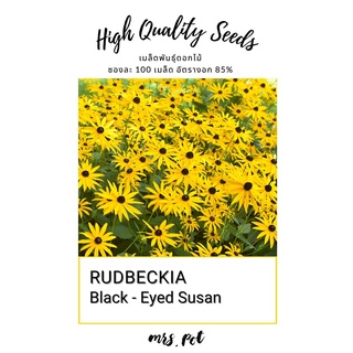 เมล็ดดอก Black eyed Susan