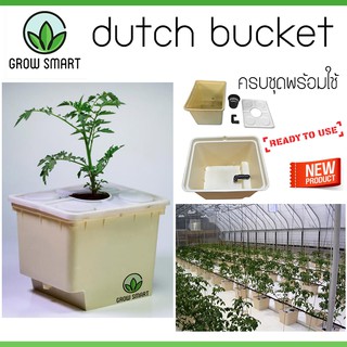 Grow Smart Hydroponics Dutch bucket system Bato bucket Aeroponics ถังปลูกไฮโดรโปรนิกส์ ปลูกผัก เมล่อน ebb&amp;flow