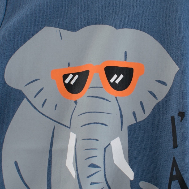 9876-27kids-เสื้อยืดเด็ก-ช้าง-ช้างใส่แว่น
