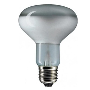 lamp-concentra-100w-osram