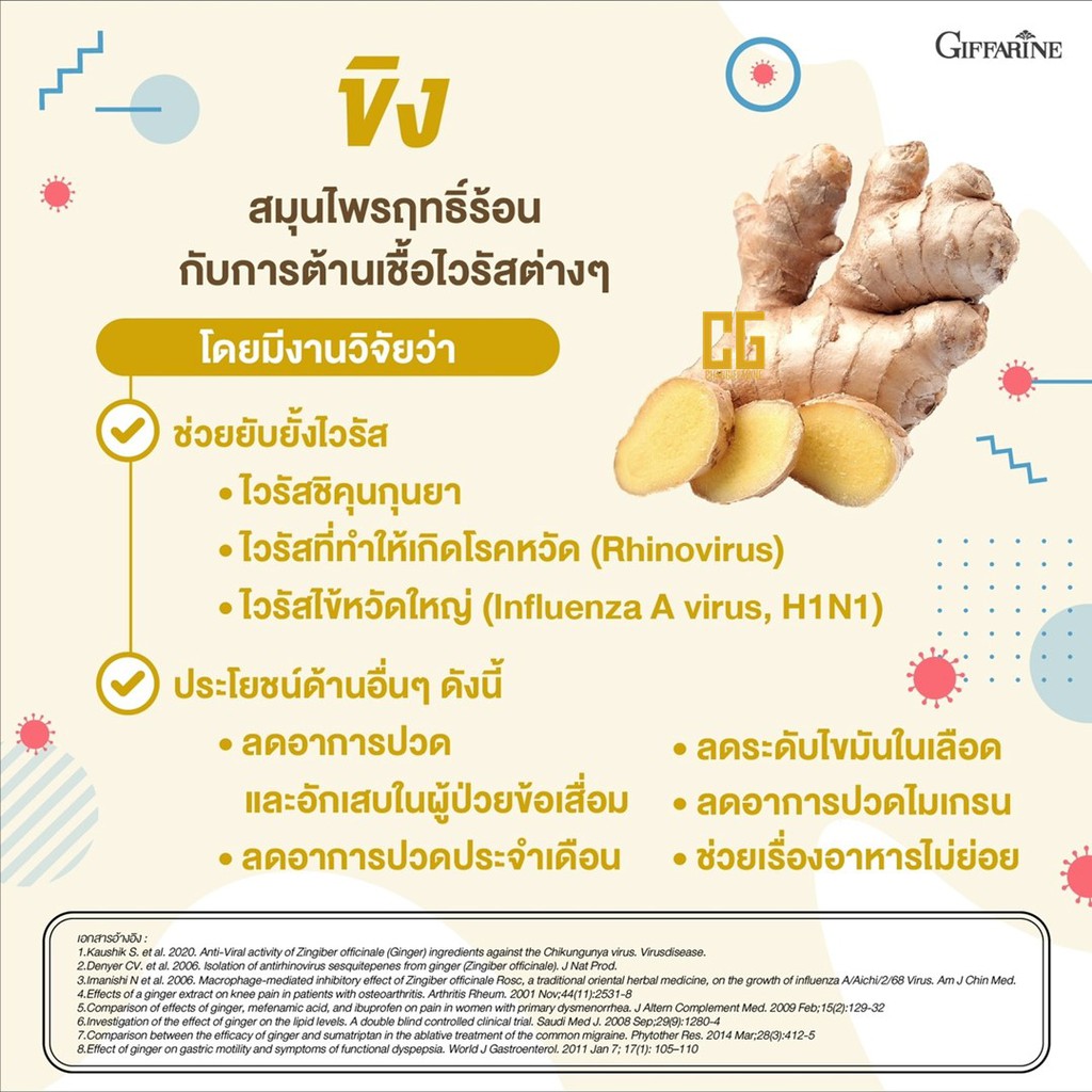 ภาพสินค้าเอส-จินเจอร์ กิฟฟารีน​ (สูตรไม่อ้วน)​ เครื่องดื่ม ขิงผง สำเร็จรูป กิฟฟารีน ขิง ขิงสด ขิงแท้ ผงขิงแท้ S-GINGER GIFFARINE จากร้าน boss9245 บน Shopee ภาพที่ 3