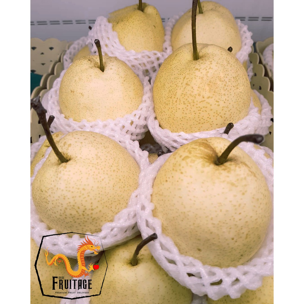 ภาพหน้าปกสินค้าสาลี่น้ำผึ้ง Sweet Pear (4ลูก) (CHN) นำเข้า ~ลดพิเศษ~ หอม หวาน อร่อย จากร้าน fruitage บน Shopee