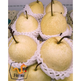 สินค้า สาลี่น้ำผึ้ง Sweet Pear (1ลูก) (CHN) นำเข้า ~ลดพิเศษ~ หอม หวาน อร่อย !