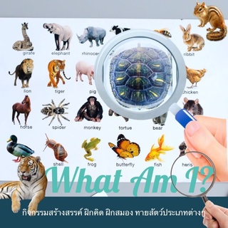 การ์ด what am i ทายปริศนา