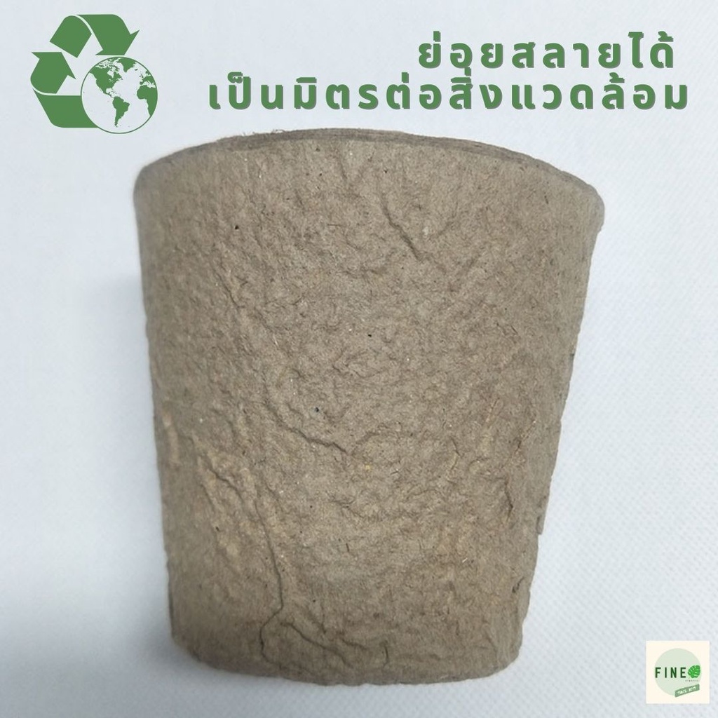 พร้อมส่งจากไทย-กระถางกระดาษสามารถย่อยสลายได้ตามธรรมชาติ-fiber-paper-pot-กระถางรีไซเคิล-กระถาง