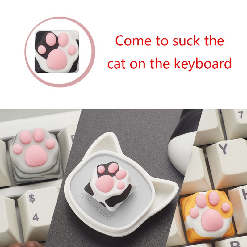 ภาพสินค้าKok Abs คีย์แคปแป้นพิมพ์ ซิลิโคน ลายอุ้งเท้าแมว สําหรับ Cherry Mx Switches จากร้าน kokoary.th บน Shopee ภาพที่ 2