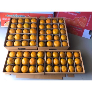 ส้มสายน้ำผึ้ง สดจากสวน ไม่แว็กซ์ 5kg เจ้าของสวนขายเอง