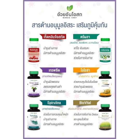 ภาพสินค้าแท้ % ค่าส่งถูก Herbal One Spirulina สาหร่ายสไปรูไลน่า ชนิดแคปซูล อ้วยอันโอสถ (สาหร่ายเกลียวทอง) สาหร่ายสไปรูลิน่า จากร้าน yoon65_lucrative บน Shopee ภาพที่ 6