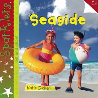 DKTODAY หนังสือ SPARKLERS OUT AND ABOUT:SEASIDE