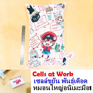 หมอน เซลล์ขยัน พันธุ์เดือด Cells at Work