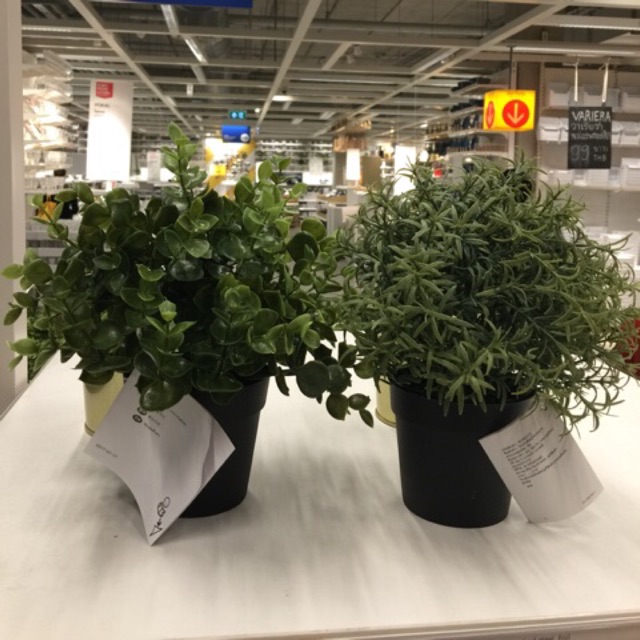 ภาพสินค้าFejka ต้นไม้ประดิษฐ์มีให้เลือก 4 แบบ สูง 22 cm. IKEA จากร้าน ruji78 บน Shopee ภาพที่ 1