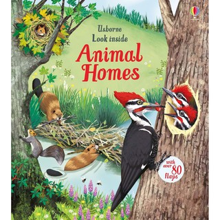 DKTODAY หนังสือ USBORNE LOOK INSIDE ANIMAL HOMES (AGE 5+)