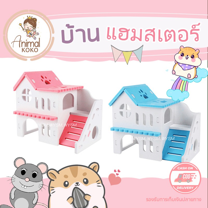 animal-koko-บ้านแฮมสเตอร์-dwarf-hamster-house-บ้านสองชั้น-น่ารัก