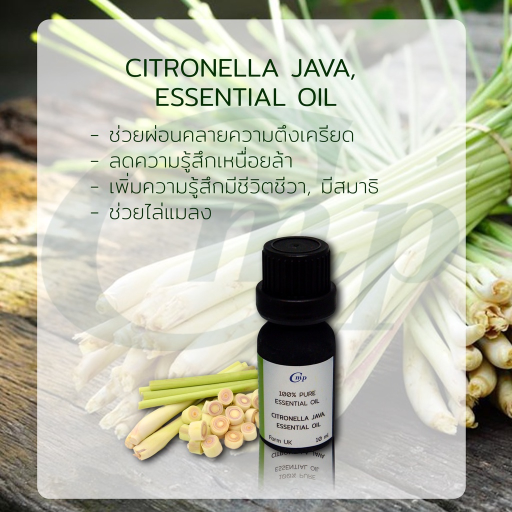 น้ำมันหอมระเหยตะไคร้หอม-citronella-java-essential-oil