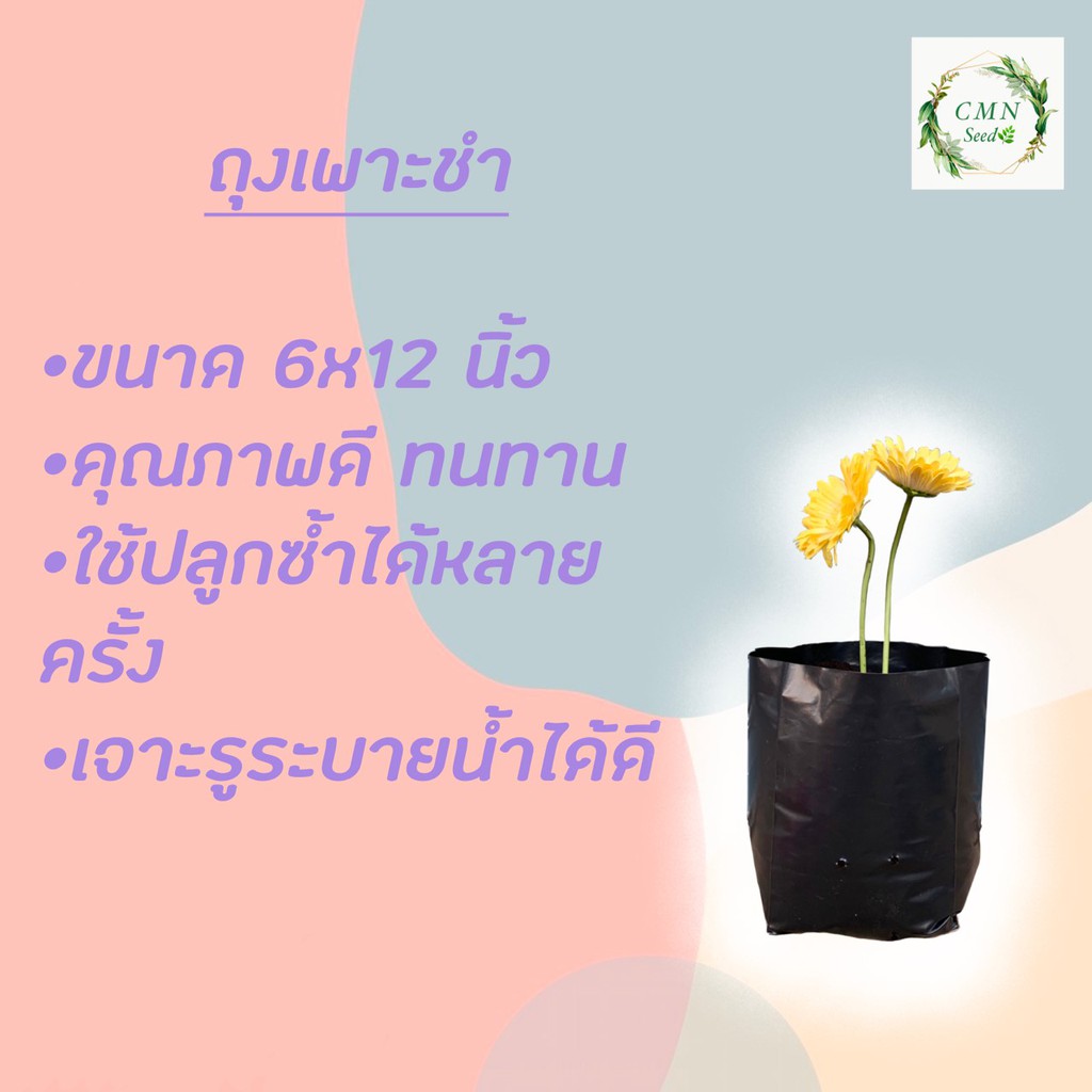 ถุงเพาะชำ-ขนาด-6-12-นิ้ว-ครึ่งกิโล-ได้-25ใบ-แพ็ค-ราคา40บาท