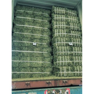 สินค้า Timothy Hay 20kg : หญ้าทิมโมธี ขนาด 20kg