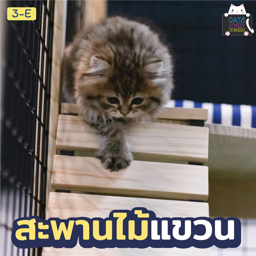 กรงแมว-บ้านแมว-รุ่น3-e-อุปกรณ์ครบ-กรงแมวกว้างใหญ่-ราคาพิเศษ