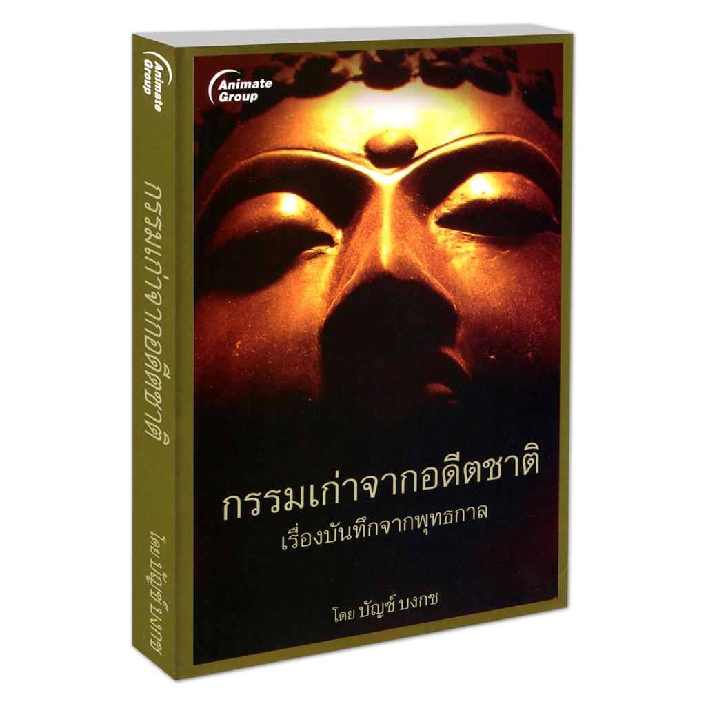 pocketbooks-กรรมเก่าจากอดีตชาติ-170b