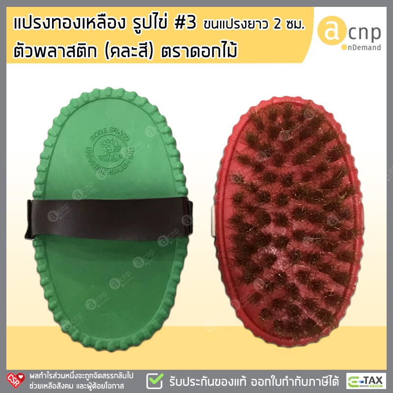 แปรงทองเหลือง-รูปไข่-3-ตัวพลาสติก-คละสี-ลวดทองเหลือง