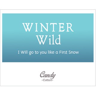 (ขนาด 100 ml.)เทียนหอม กลิ่น วินเทอร์ ไวลด์ - Soy Candle Winter Wild เทียนหอมไขถั่วเหลือง เทียน ของขวัญให้คนที่คุณรัก