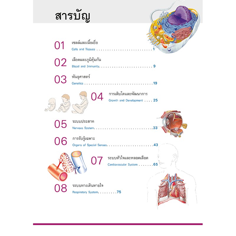 หนังสือระบบร่างกายมนุษย์-เรื่องน่ารู้เกี่ยวกับร่างกาย-รู้จักกลไกธรรมชาติในร่างกาย