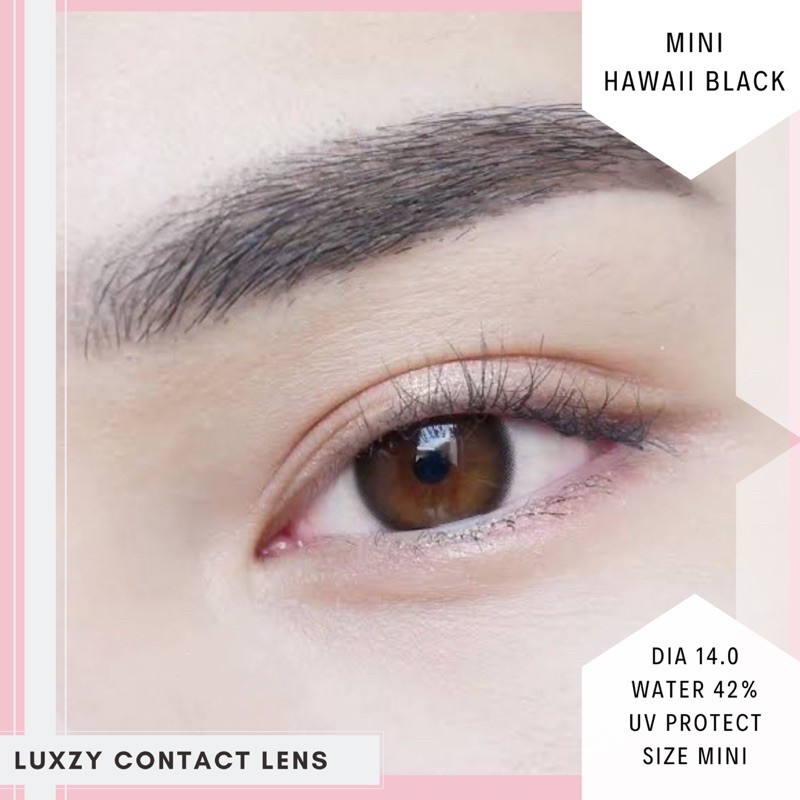 mini-hawaii-black-ค่าสายตา-0-00-600-luxzy-lens-คอนแทคเลนส์-contactlen