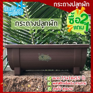 2 ฟรี 1 🧱 กระถางปลูกผัก กระถางปลูกสลัด กระถางต้นไม้ กระถางเหลี่ยม กระถางยาว กระถางรางยาว ลายขอนไม้สวยงาม