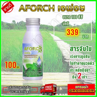 ภาพหน้าปกสินค้าเอฟอช Aforch สารจับใบ ( ขนาดทดลอง 100 ซีซี ) ชนิดเร่งดูดซึมไว ของแท้ 100% ส่งฟรีเก็บเงินปลายทาง ที่เกี่ยวข้อง