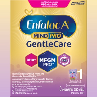 ภาพขนาดย่อของภาพหน้าปกสินค้าเอนฟาแล็ค เอพลัส มายด์โปร เจนเทิลแคร์ นมผง เด็ก นม enfa สูตร 1 950 กรัม Enfalac A+ Mindpro Gentle Care Formula 950 g. จากร้าน meadjohnson.official บน Shopee