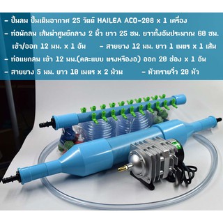 ปั้มออกซิเจน HAILEA รุ่น ACO-208 ท่อพักลม 2 นิ้ว ท่อแยกลม 20 ช่อง และอุปกรณ์พร้อมใช้งาน