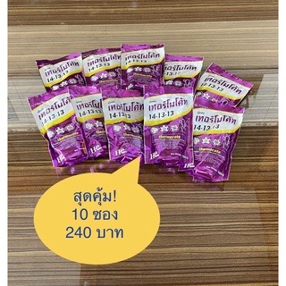 14-13-13 เทอร์โมโค้ท 10 ซอง สุดคุ้ม 100g ปุ๋ยละลายช้า