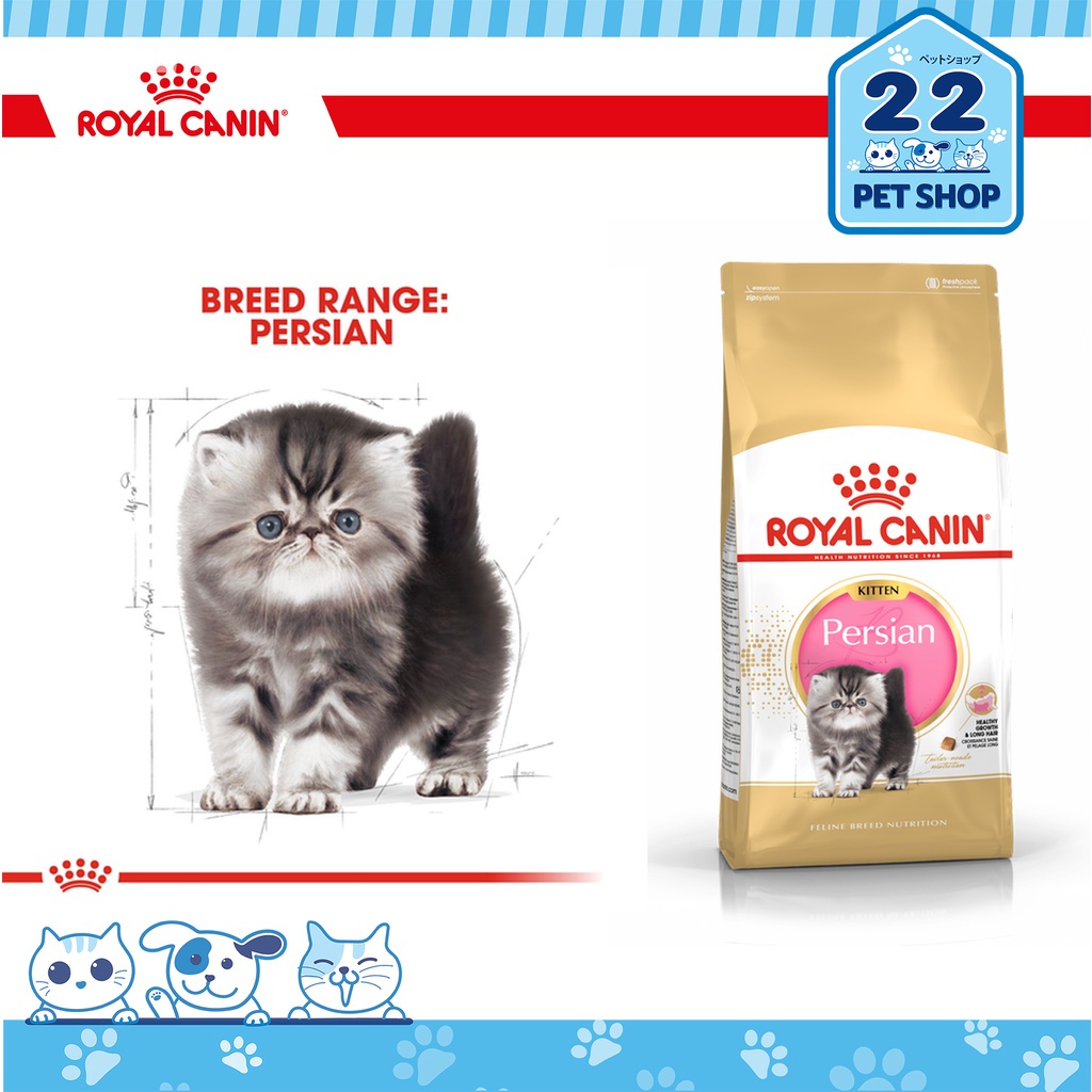 royal-canin-kitten-อาหารลูกแมวตามสายพันธุ์-persian-kitten-british-shorthair-kitten-maine-coon-kitten-ขนาด-2kg