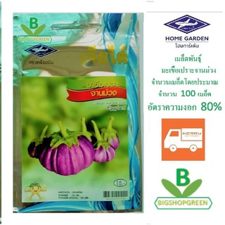 5 ฟรี 1 คละได้ เมล็ดพันธุ์  มะเขือเปราะม่วง  จานม่วง ตราเจียไต๋ เมล็ดผัก เมล็ดพันธุ์พืช  เมล็ดพืช  เมล็ดผักสวนครัว