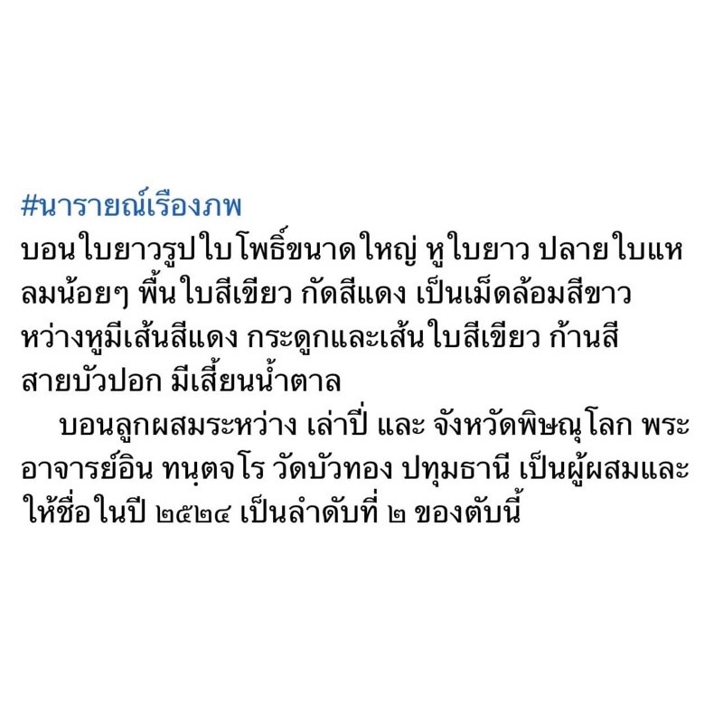 นารายณ์เรืองพบ-บอนเก่าหายาก