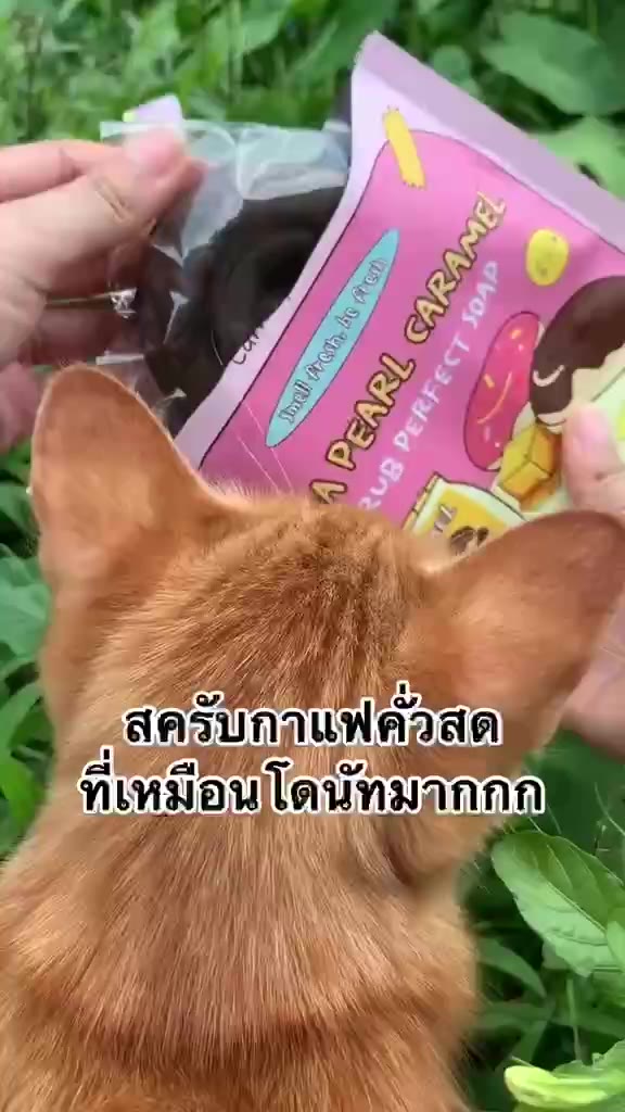 สบู่สครับโดนัท-สครับ-มาร์ก-สบู่-เหมาะสำหรับคนผิวแพ้ง่าย