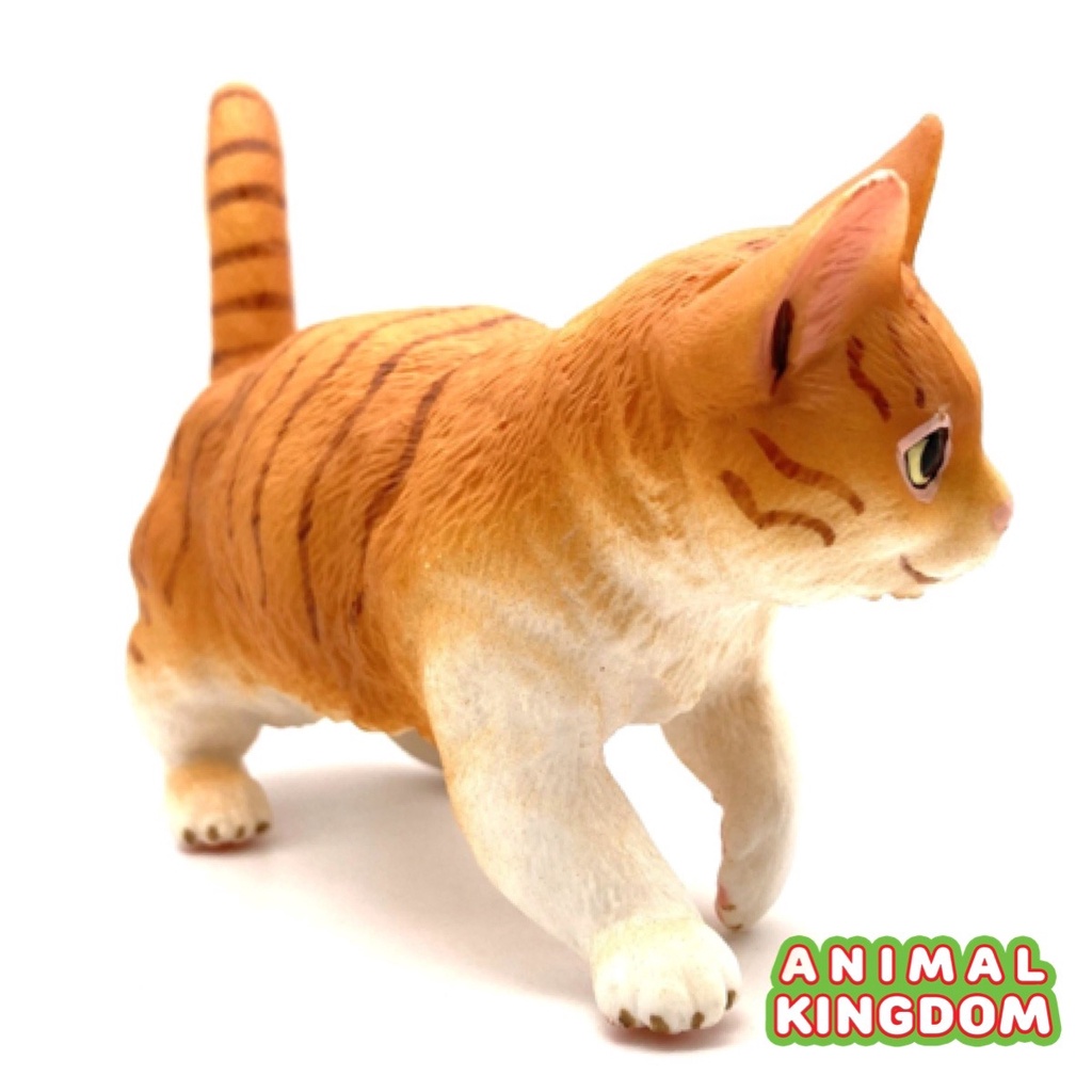 animal-kingdom-โมเดลสัตว์-แมว-ทอง-ขนาด-17-50-cm-จากหาดใหญ่