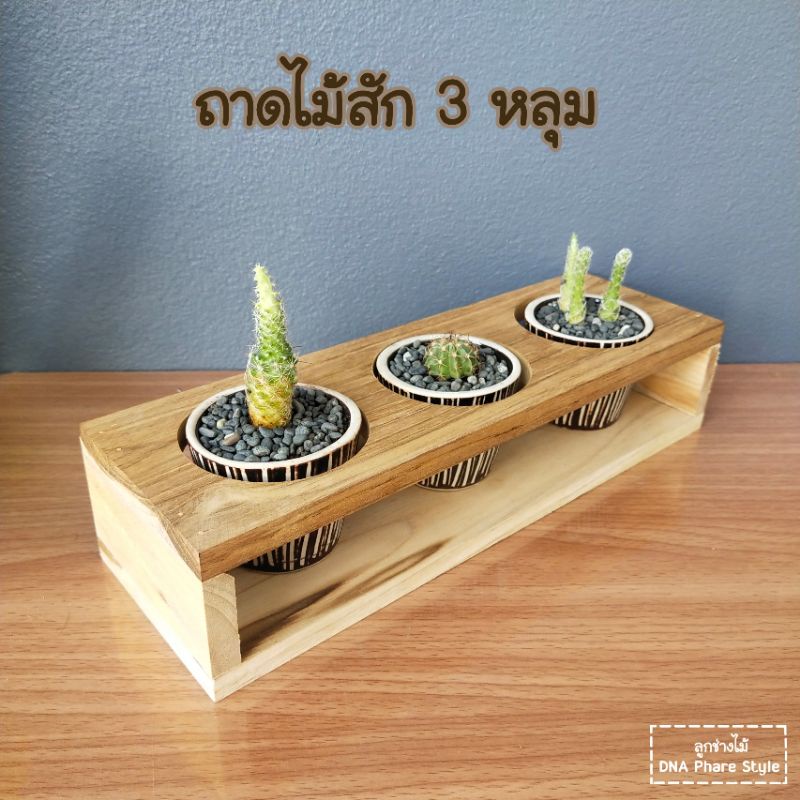 ถาดไม้สัก-3-หลุม-ใช้ได้กับต้นไม้และแก้ว