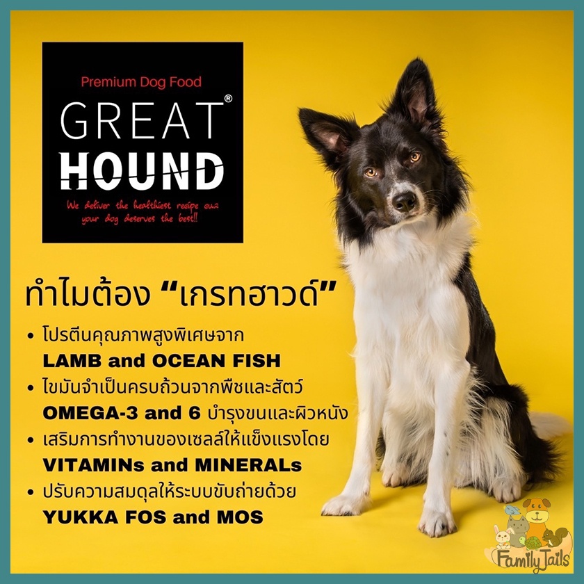 great-hound-เกรทฮาวด์-อาหารสุนัขเกรดพรีเมี่ยม-รสแกะและปลาทะเล-2-kg