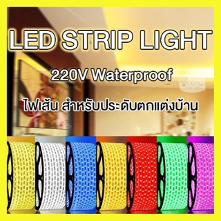 ไฟเส้น LED Strip 60led/1m ไฟสายยางท่อแบน 5050 HS (100 เมตร)(แถมฟรี ปลั๊กหัวจ่าย 5ตัว)