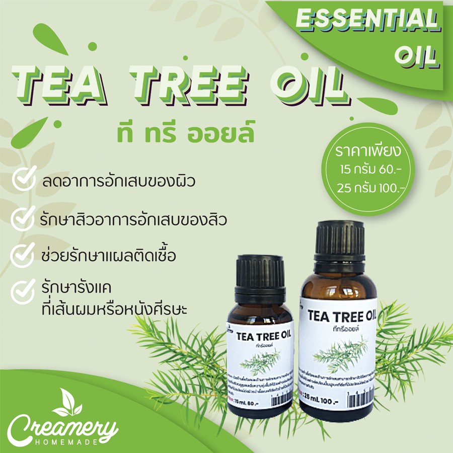 ภาพหน้าปกสินค้านํ้ามันหอมระเหยทีทรี  ที ทรี ออยล์ (Tea Tree Oil) จากร้าน creameryhomemade บน Shopee