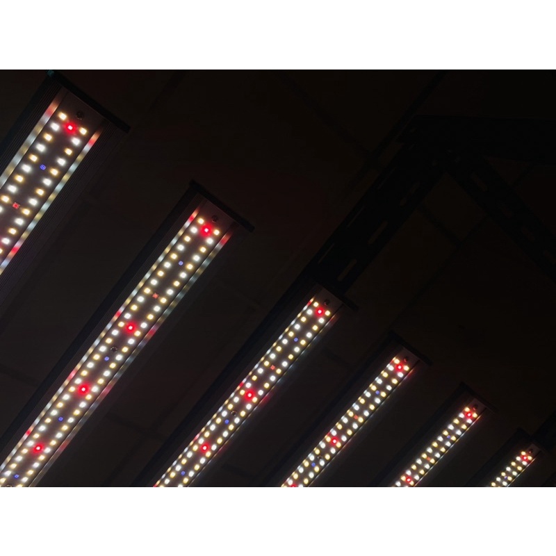 light-b-640-w-301-h-deepred-ir-uv