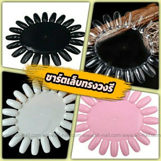 ชาร์ตโชว์เล็บ ทรงวงรี (10ชิ้น/แพ็ค)