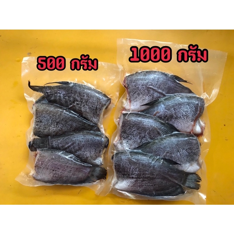 ภาพหน้าปกสินค้าปลาสลิดแดดเดียว Size 4-5 ตัว 500/1000 กรัม (แพ็คโฟมฟรีทุกออร์เดอร์) ปลาสลิด จากร้าน sevenchick บน Shopee