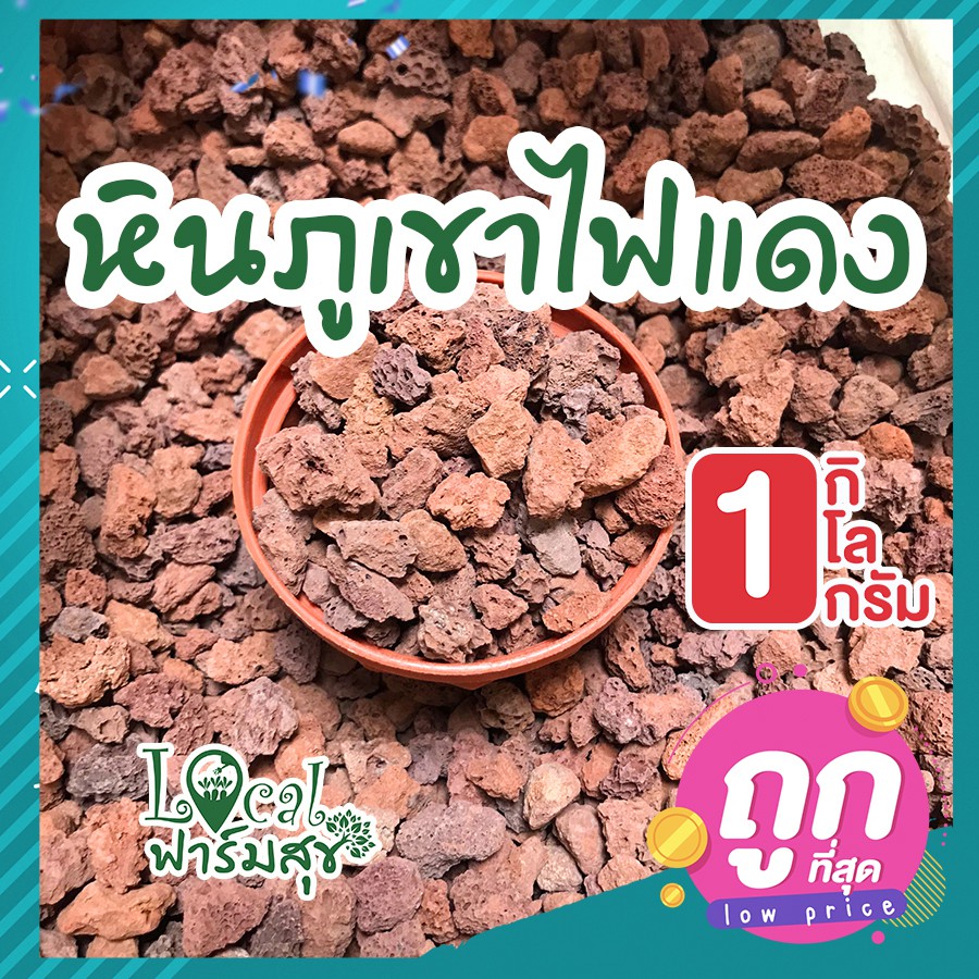 หินภูเขาไฟแดง-1-กิโล-หินภูเขาไฟสีแดงล่อราก-red-volcanic-rock-ลดอาการรากเน่า-ช่วยป้องกันเชื้อโรคเชื้อรา-หินภูเขาไฟ